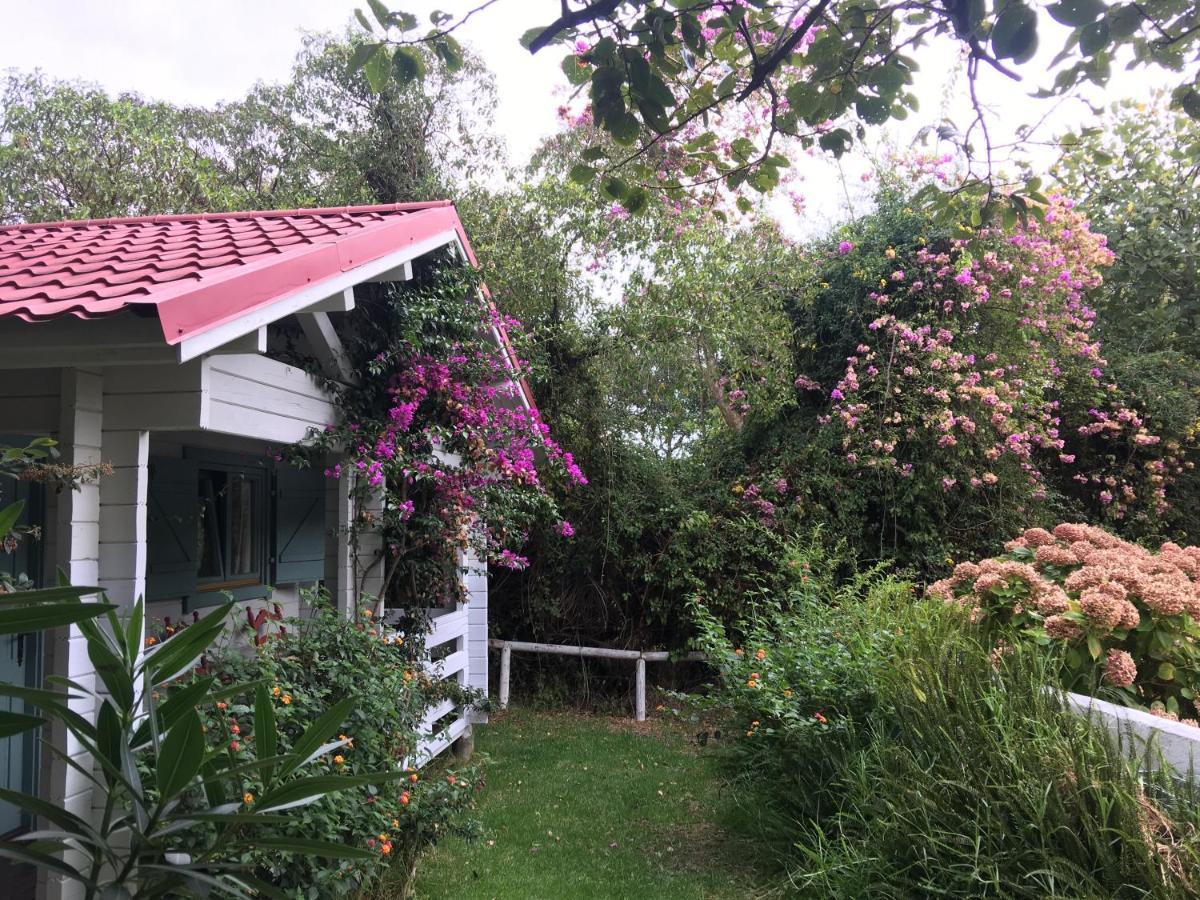 Meson De Sancho Hotel Tarifa Ngoại thất bức ảnh